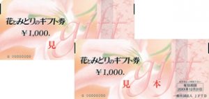hana_003