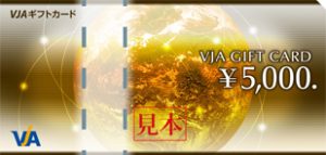visa_002